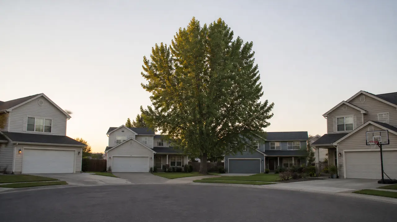 Illustration of a Broomfield, Colorado cul-de-sac of 1990s two-story homes under an evening sky